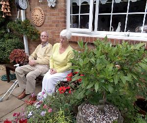 Best Garden Winners 16