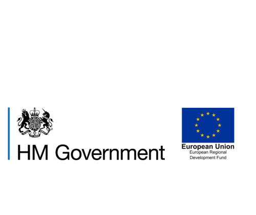 Eu and Government Logo