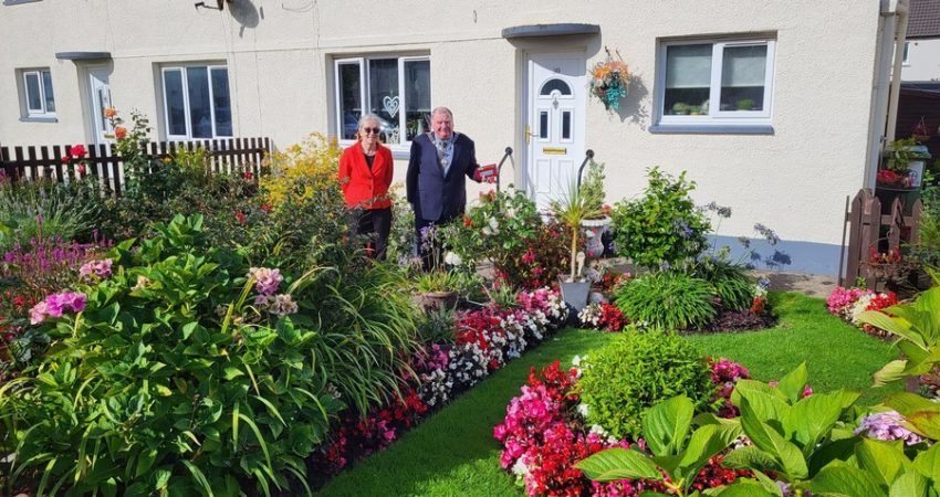Best Kept Garden